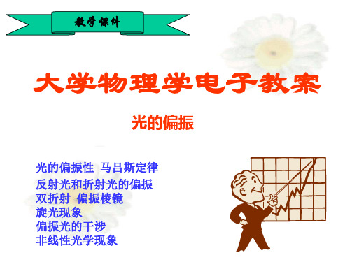光的偏振