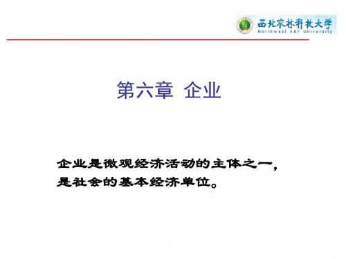 第六章企业概述-精选文档
