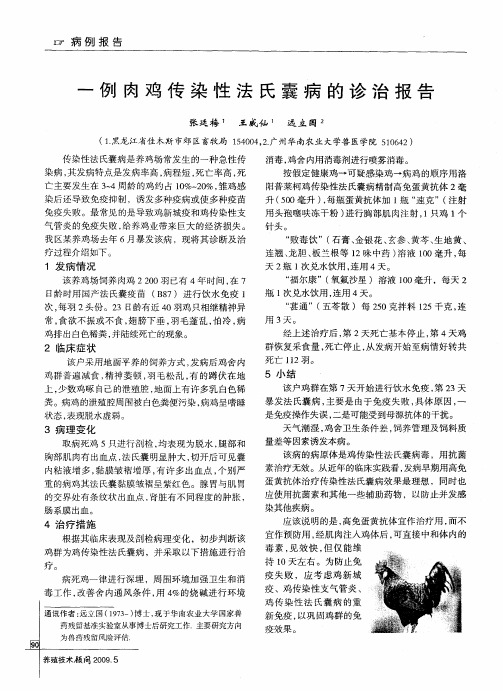 一例肉鸡传染性法氏囊病的诊治报告