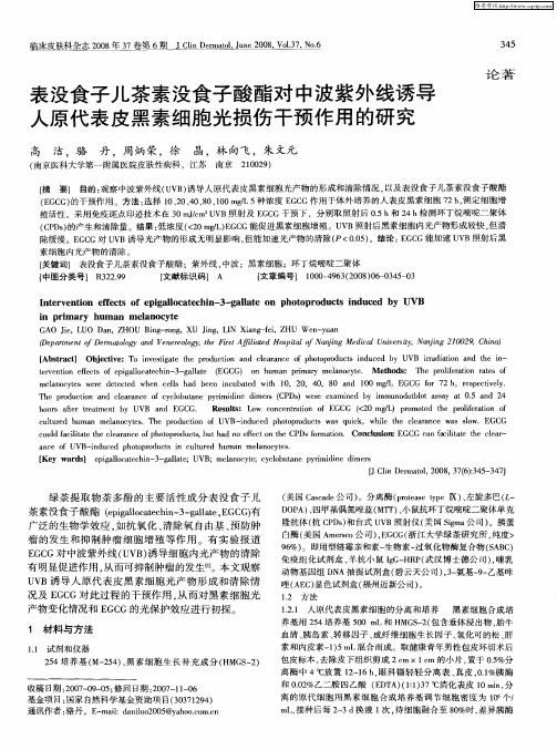 表没食子儿茶素没食子酸酯对中波紫外线诱导人原代表皮黑素细胞光损伤干预作用的研究