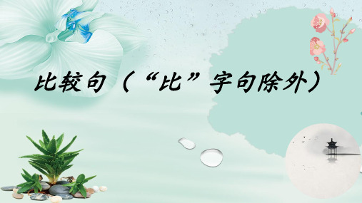 比较句分析(“比”字句除外)