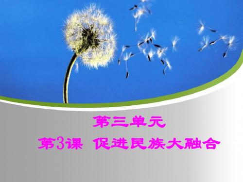 孝文帝改革之促进民族大融合