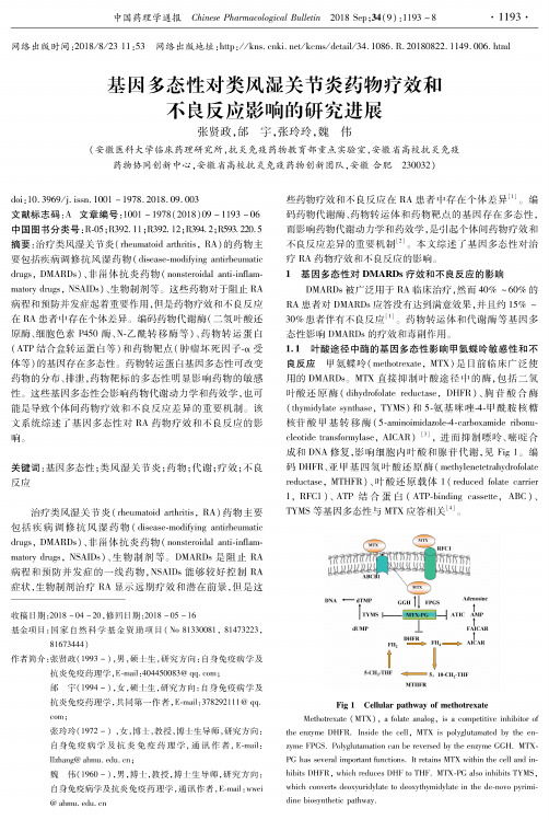 基因多态性对类风湿关节炎药物疗效和不良反应影响的研究进展