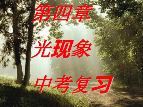 第四章_光现象中考复习