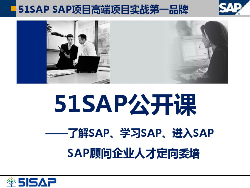 2020年SAP公开课PPT参照模板