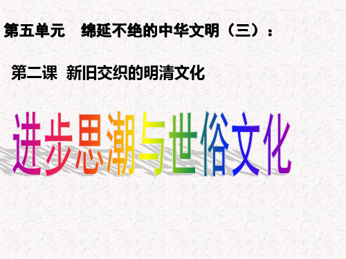 进步思潮与世俗文化-精PPT优秀课件