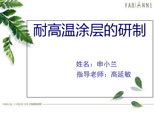 耐高温涂层的研制_PPT课件