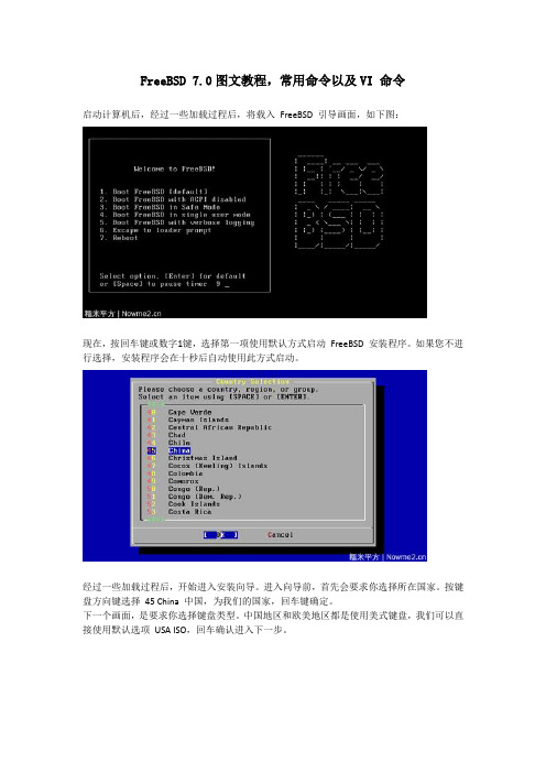 FreeBSD_7.0图文教程,常用命令以及VI_命令