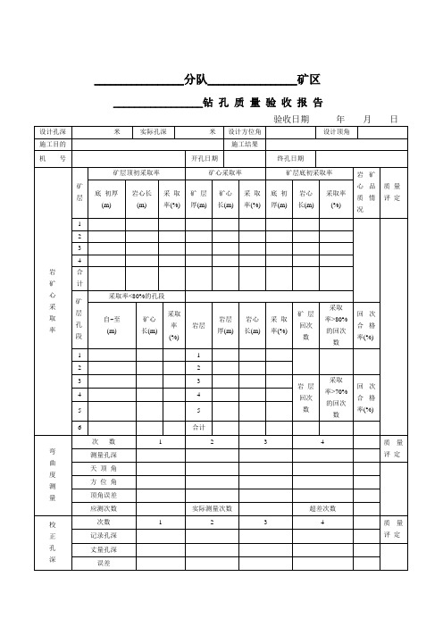 钻孔质量验收报告样式