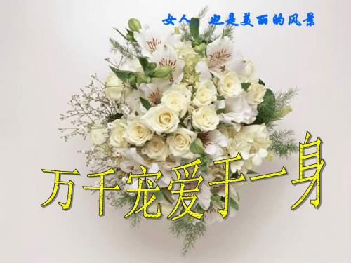 女人经