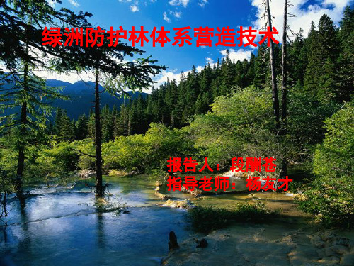 生态工程