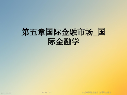 第五章国际金融市场国际金融学