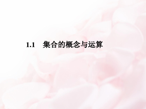 人教版高三数学一轮复习精品课件：1.1 集合的概念与运算