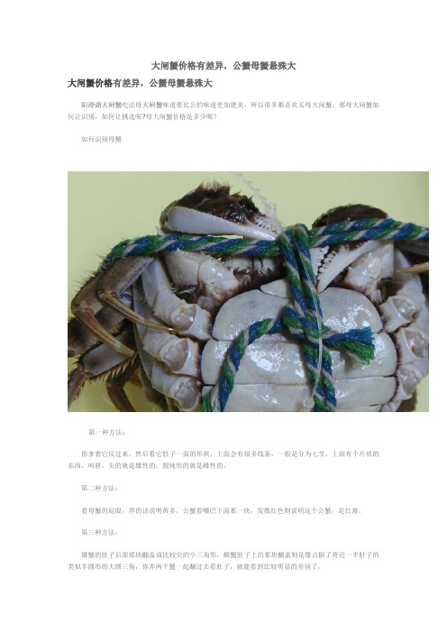 大闸蟹价格有差异,公蟹母蟹悬殊大