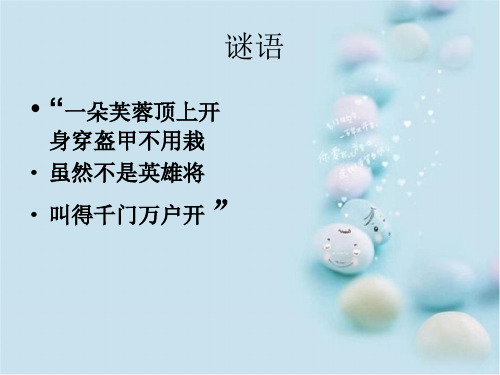 浙美版神气的大公鸡PPT课件