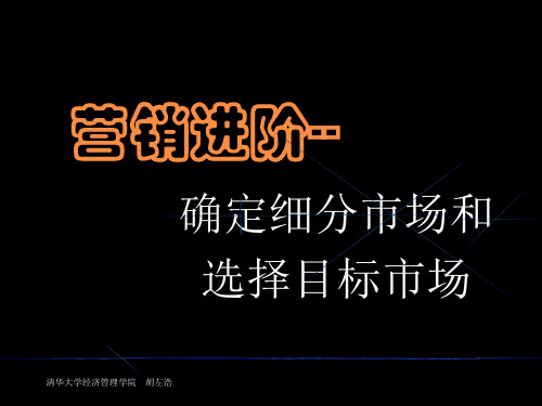 营销进阶--确定细分市场和选择目标市场(PPT 34页)