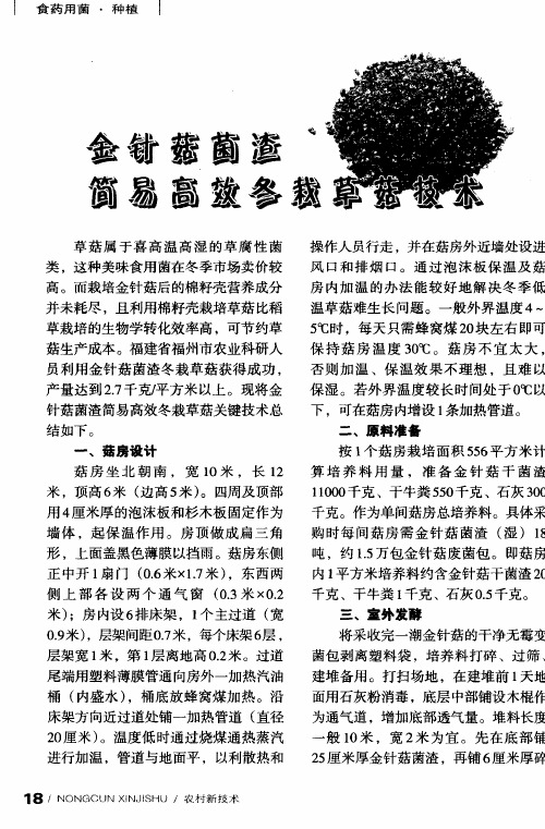 金针菇菌渣简易高效冬栽草菇技术