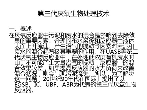 2020年第九章 第三代厌氧生物处理技术 2课时0812参照模板