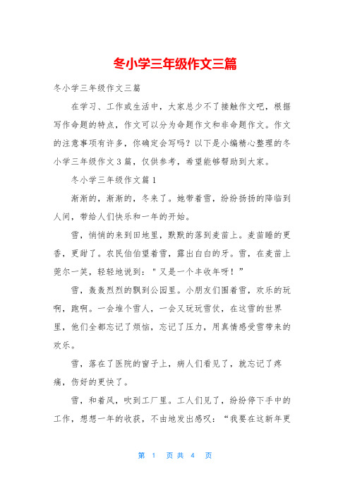 冬小学三年级作文三篇
