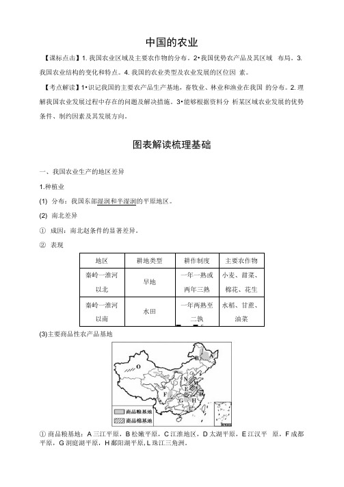 高中地理中国的农业学案