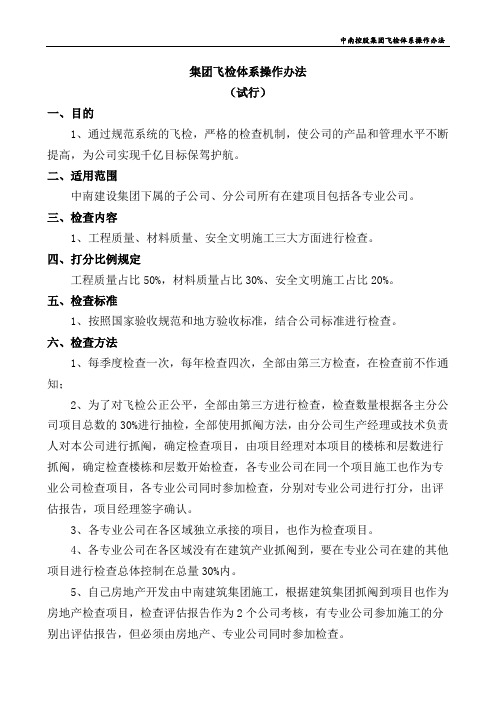 中南控股集团飞检体系操作办法(试行)