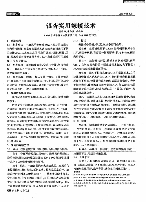 银杏实用嫁接技术