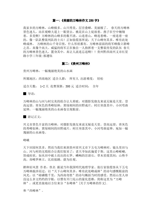 关于万峰林的作文