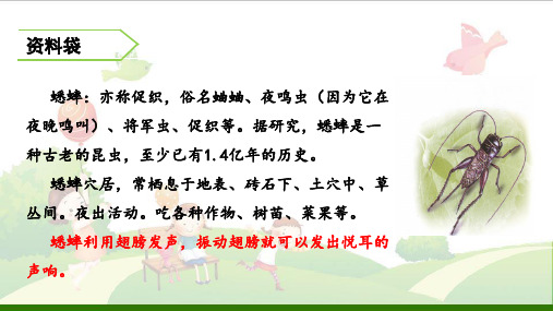 《蟋蟀的住宅》-示范课件