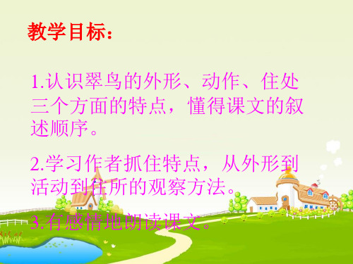 人教新课标三年级语文下册翠鸟 5-PPT课件