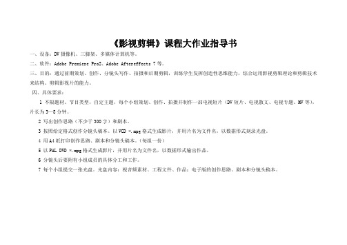 《影视剪辑》课程大作业指导书