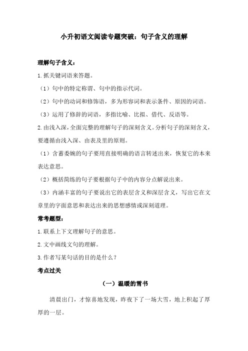 小升初语文阅读专题突破-  句子含义的理解 训练题(含答案)人教统编版 学生版