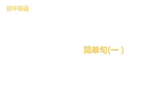 2020届中考英语专题复习课件： 简单句(一)(共45张PPT)