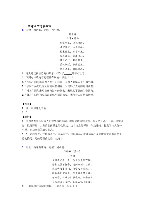 备战中考语文二模试题分类汇编——诗歌鉴赏综合附答案解析
