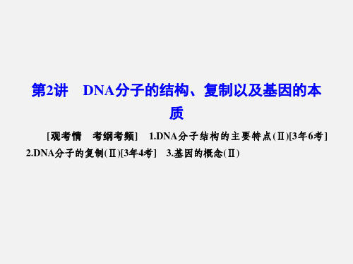 高考生物 一轮复习 3.2DNA分子的结构、复制以及基因的本质 新人教版必修2