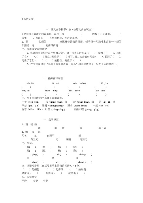 鸟的天堂课后练习题