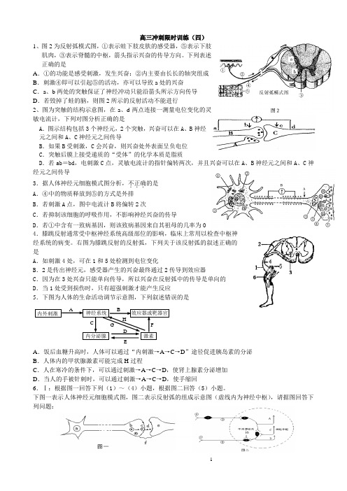 衡水中学高三生物冲刺限时训练4