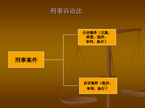 执法资格考试(刑事诉讼法)