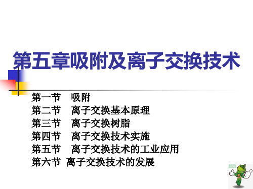 《制药单元操作技术(下)》教学课件—05吸附与离子交换