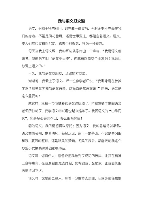 初二作文：我与语文打交道作文600字