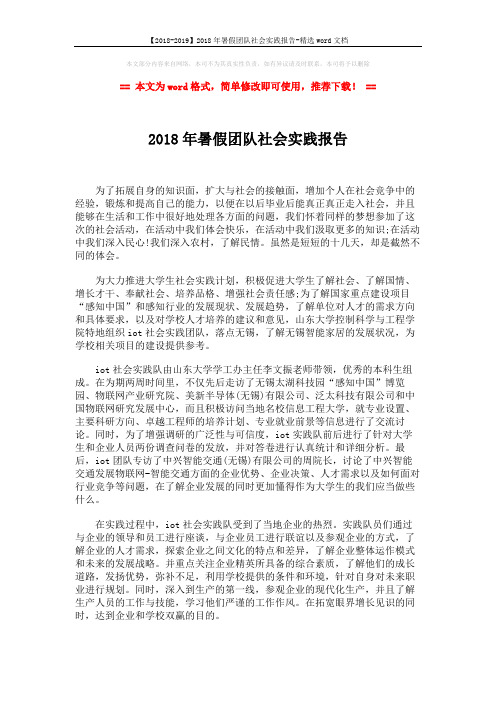 【2018-2019】2018年暑假团队社会实践报告-精选word文档 (2页)