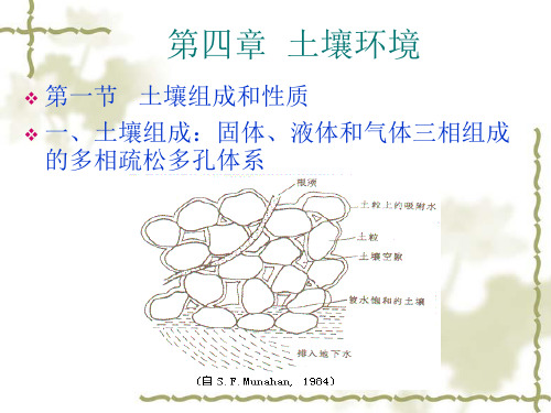 ch4 土环境学概论