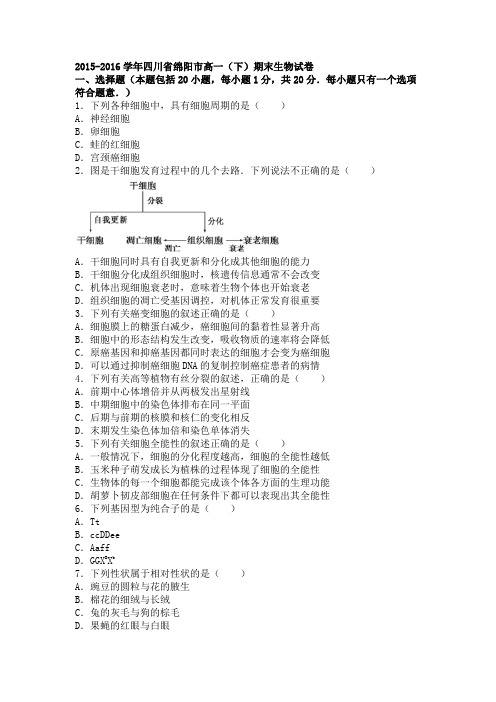 四川省绵阳市2015-2016学年高一下学期期末生物试卷Word版含解析