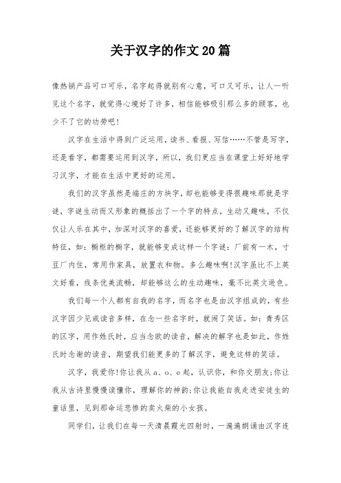 关于汉字的作文20篇