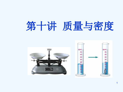 (广东专版)中考物理 第十讲 质量与密度课件(解读+考点导航+考点复习+典型例题)