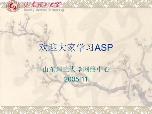 第一章Asp概述
