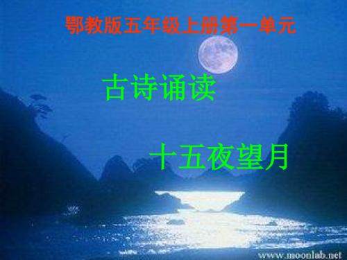 五年级语文上册第一单元古诗诵读：十五夜望月PPT课件4鄂教版