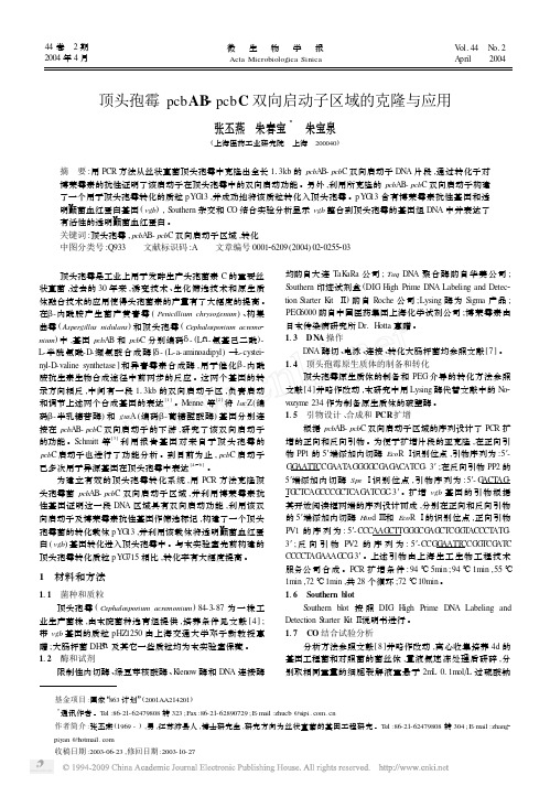 顶头孢霉pcbAB_pcbC双向启动子区域的克隆与应用