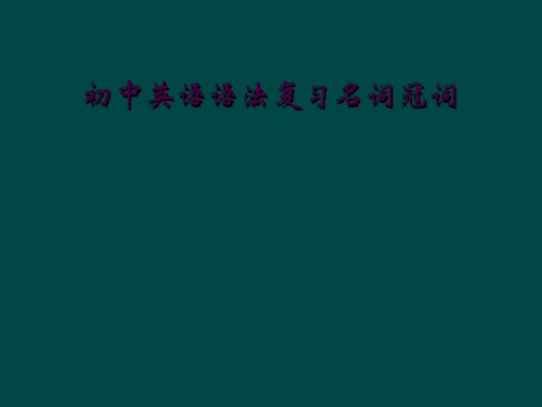 初中英语语法复习名词冠词