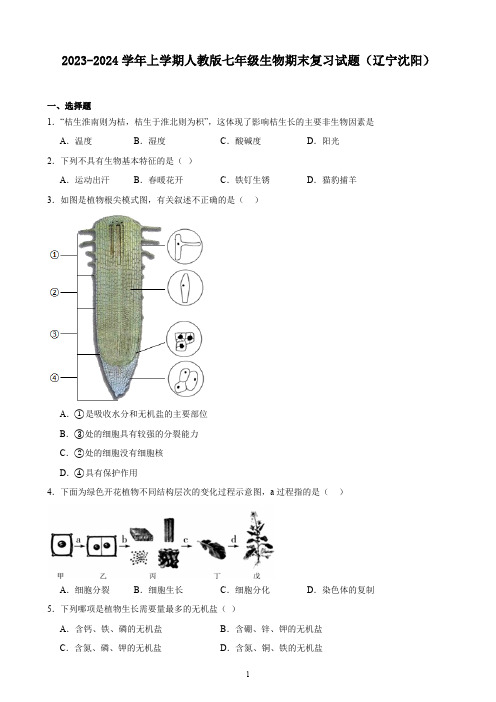 辽宁省沈阳市2023-2024学年上学期人教版七年级生物期末复习试题(含解析)