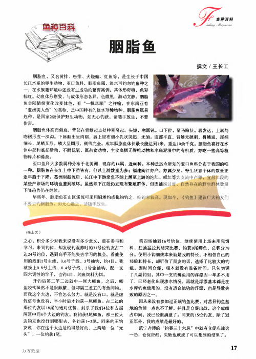 胭脂鱼